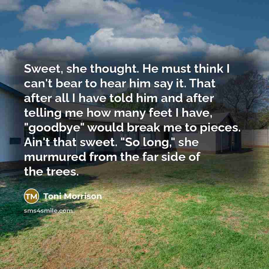 “Sweet, she thought. He must think I can't bear to hear him say it. That after all I have told him and after telling me how many feet I have, "goodbye" would break me to pieces. Ain't that sweet. "So long," she murmured from the far side of the trees.” quote by Toni Morrison