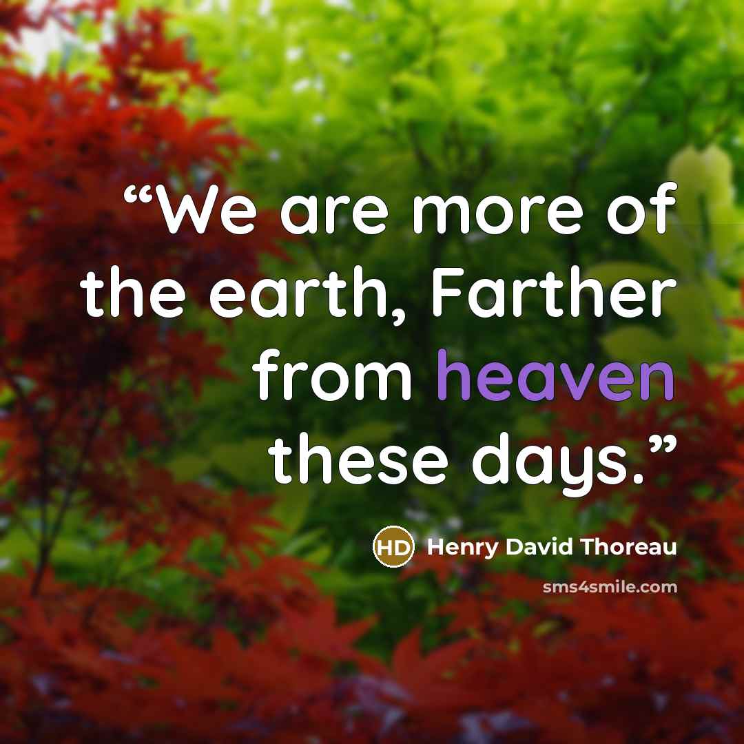 “We are more of the earth, Farther from heaven these days.” quote by Henry David Thoreau