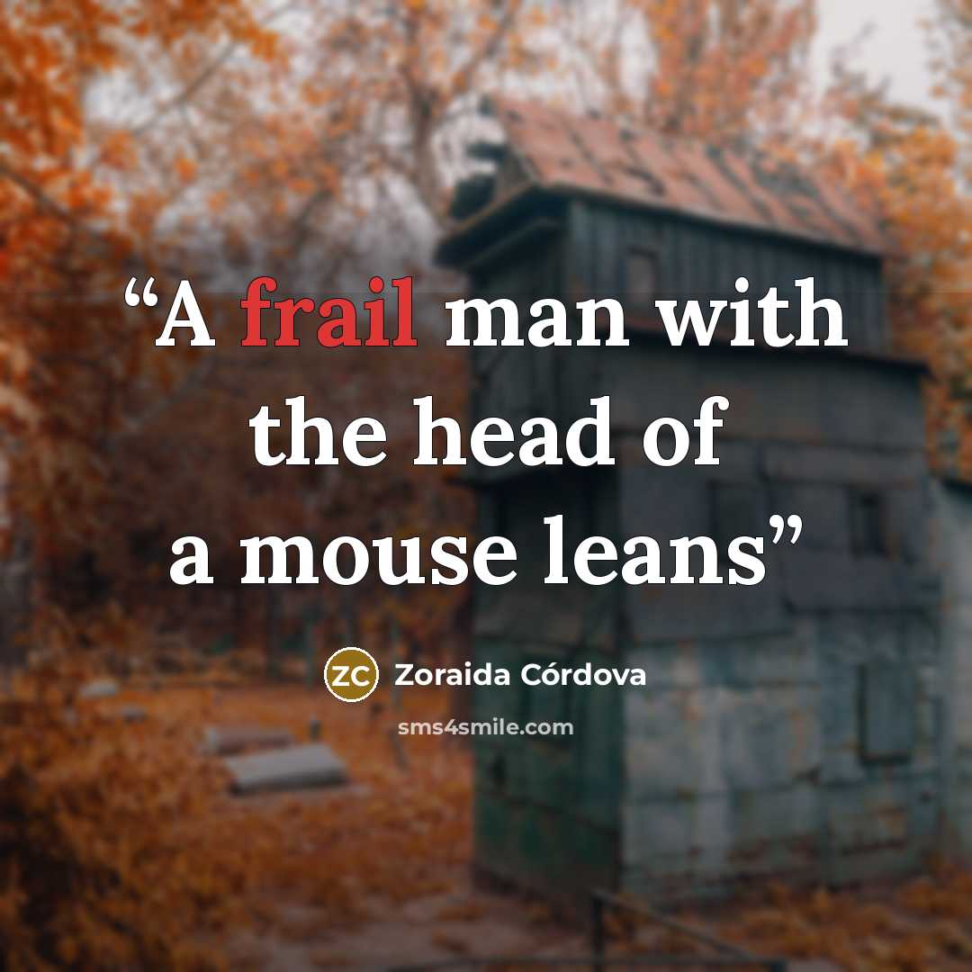 “A frail man with the head of a mouse leans” quote by Zoraida Córdova