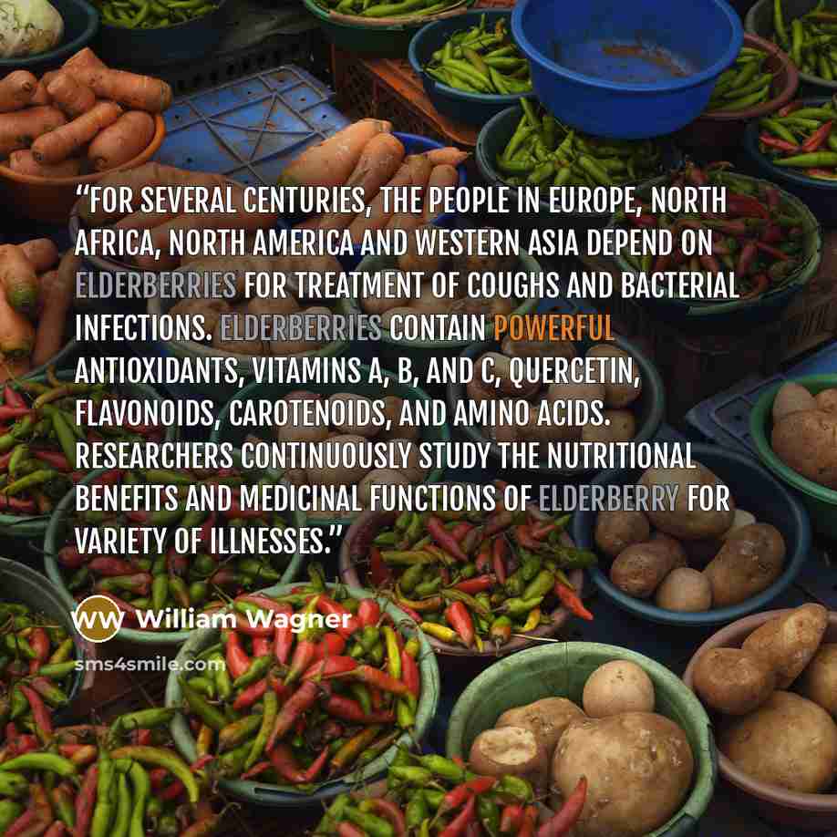 “For several centuries, the people in Europe, North Africa, North America and Western Asia depend on Elderberries for treatment of coughs and bacterial infections. Elderberries contain powerful antioxidants, vitamins A, B, and C, quercetin, flavonoids, carotenoids, and amino acids. Researchers…” quote by William Wagner