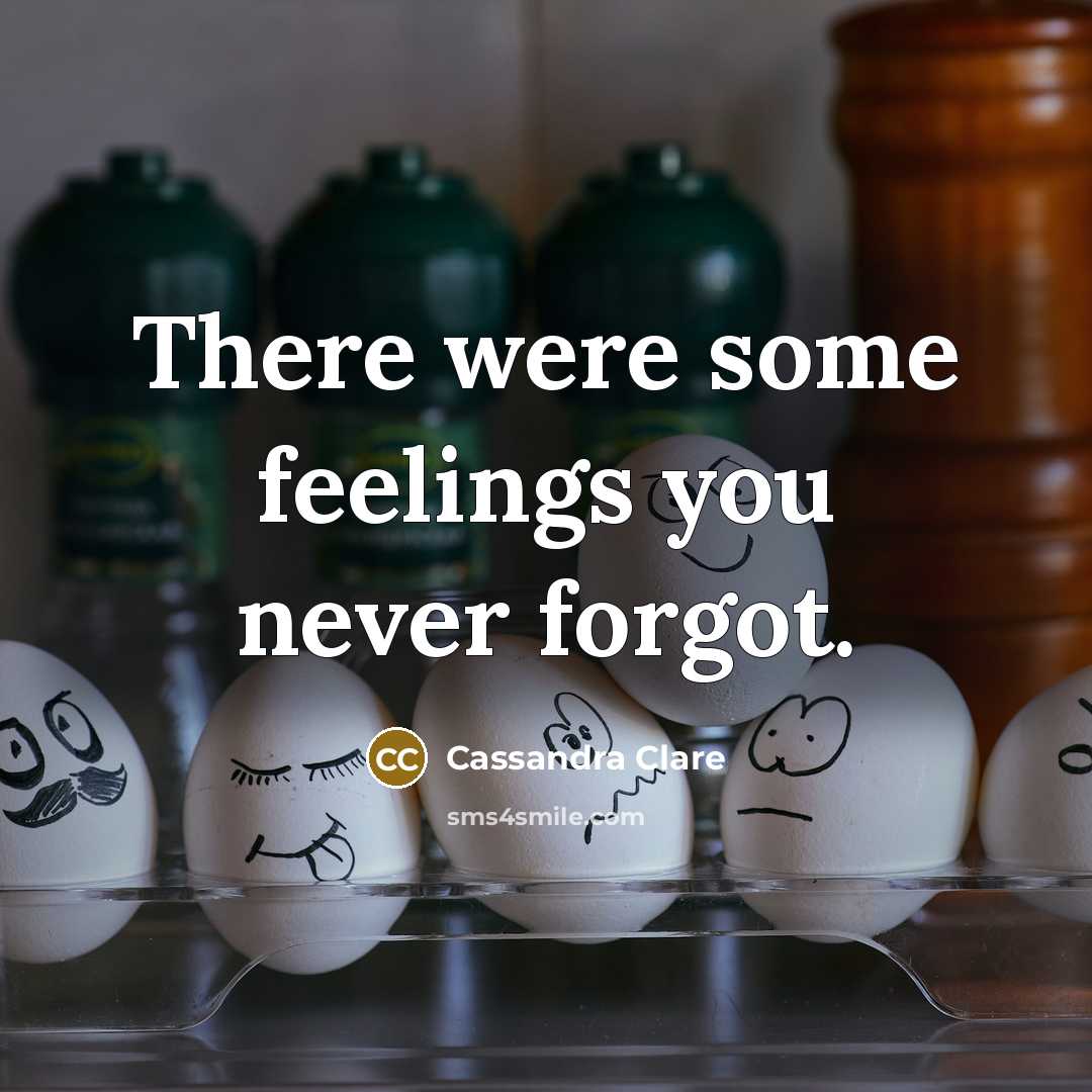 “There were some feelings you never forgot.” quote by Cassandra Clare