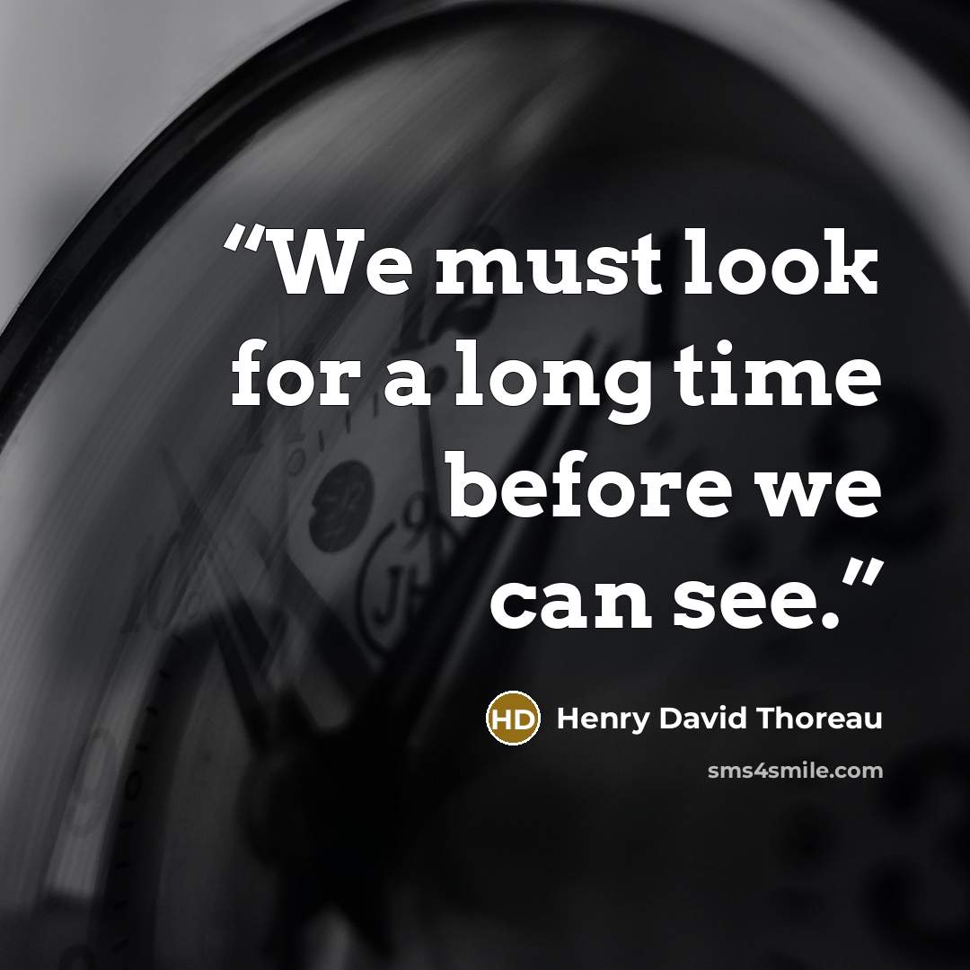 “We must look for a long time before we can see.” quote by Henry David Thoreau