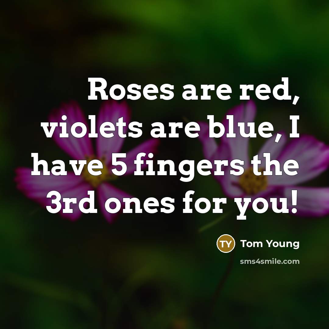 “Roses are red, violets are blue, I have 5 fingers the 3rd ones for you!” quote by Tom Young