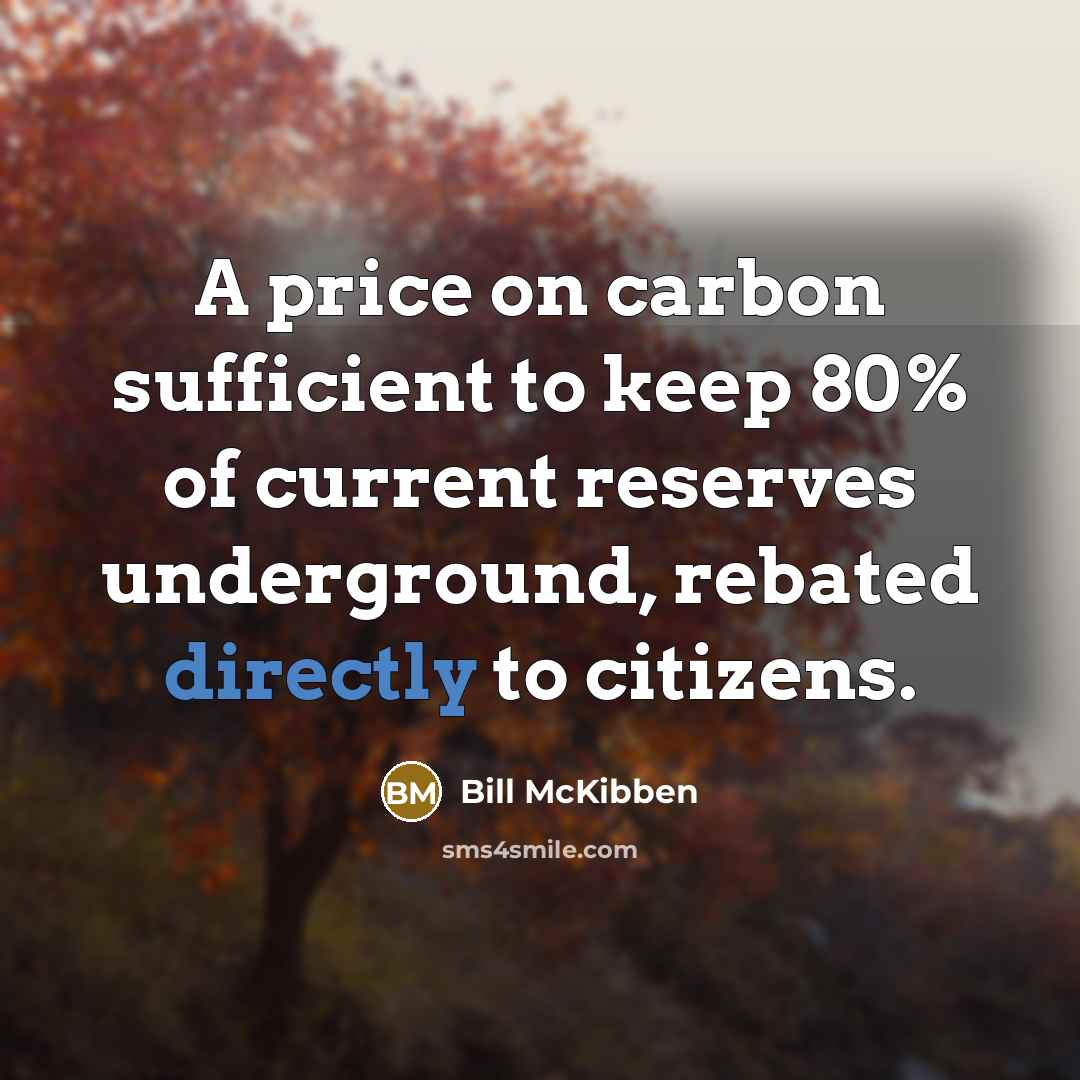“A price on carbon sufficient to keep 80% of current reserves underground, rebated directly to citizens.” quote by Bill McKibben