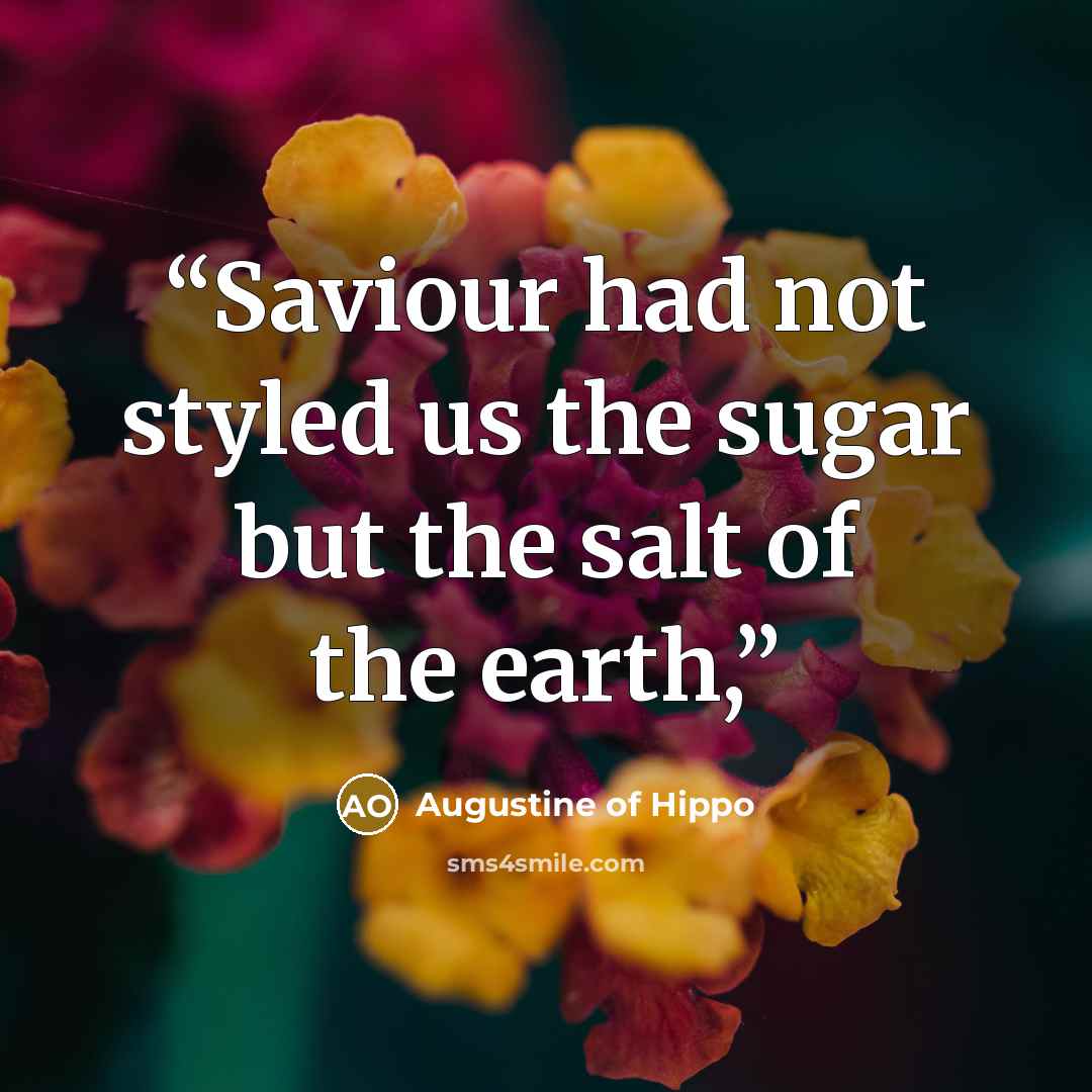 “Saviour had not styled us the sugar but the salt of the earth,” quote by Augustine of Hippo