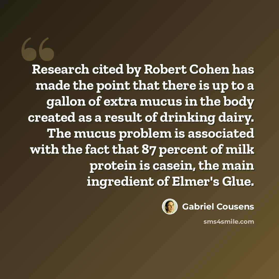 “Research cited by Robert Cohen has made the point that there is up to a gallon of extra mucus in the body created as a result of drinking dairy. The mucus problem is associated with the fact that 87 percent of milk protein is casein, the main ingredient of Elmer's Glue.” quote by Gabriel Cousens