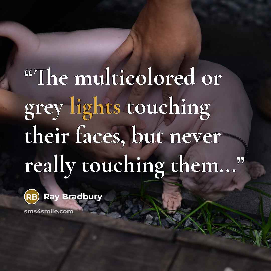“The multicolored or grey lights touching their faces, but never really touching them...” quote by Ray Bradbury