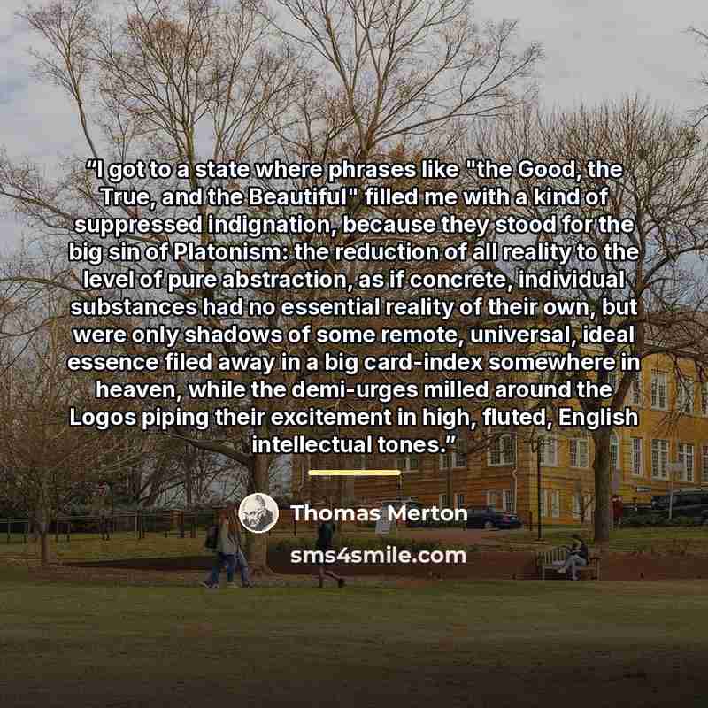 “I got to a state where phrases like "the Good, the True, and the Beautiful" filled me with a kind of suppressed indignation, because they stood for the big sin of Platonism: the reduction of all reality to the level of pure abstraction, as if concrete, individual substances had no essential…” quote by Thomas Merton