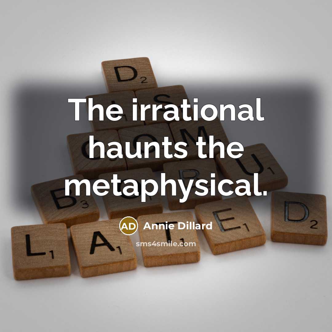 “The irrational haunts the metaphysical.” quote by Annie Dillard