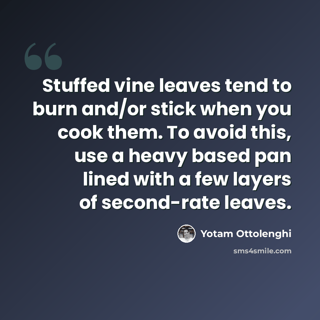 “Stuffed vine leaves tend to burn and/or stick when you cook them. To avoid this, use a heavy based pan lined with a few layers of second-rate leaves.” quote by Yotam Ottolenghi