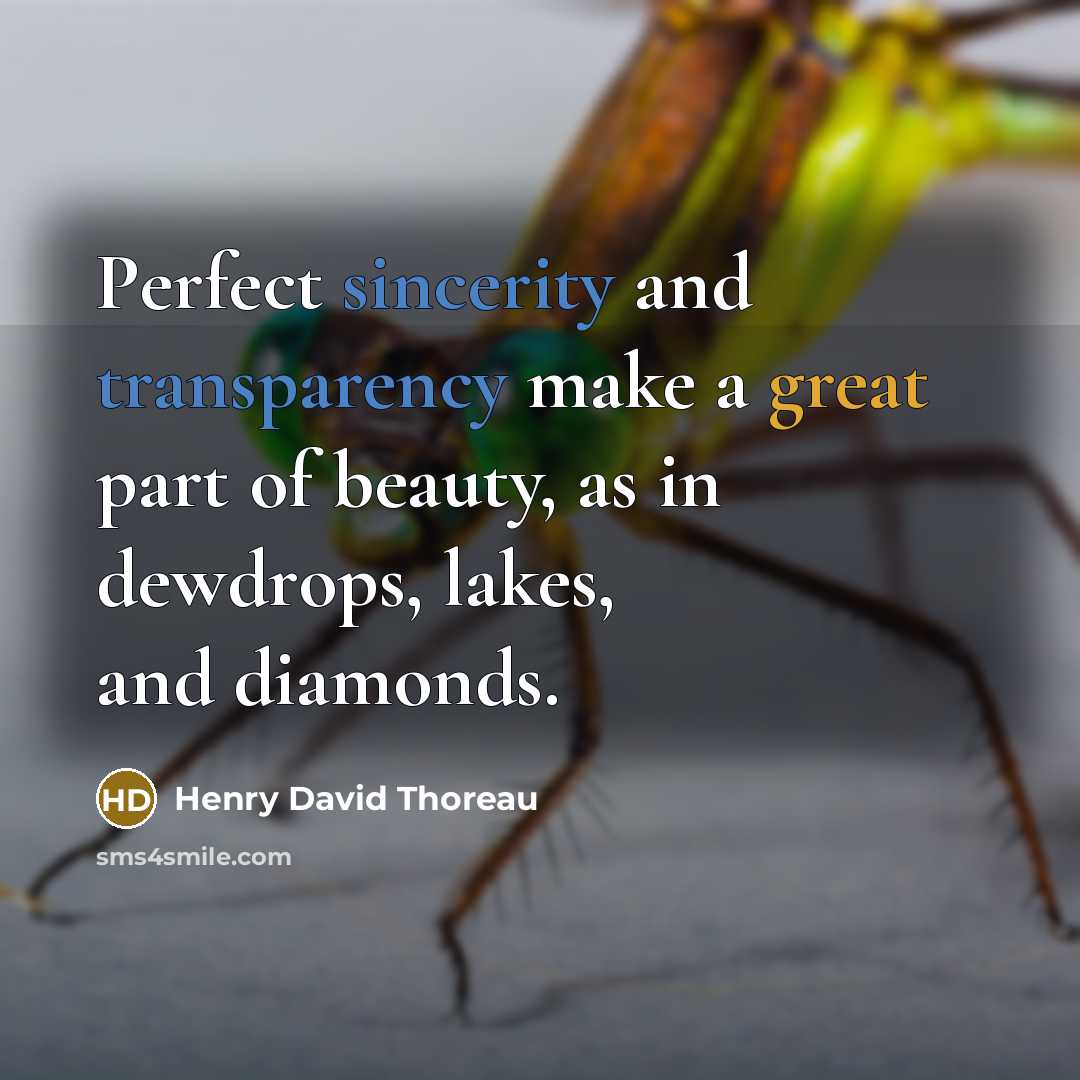 “Perfect sincerity and transparency make a great part of beauty, as in dewdrops, lakes, and diamonds.” quote by Henry David Thoreau