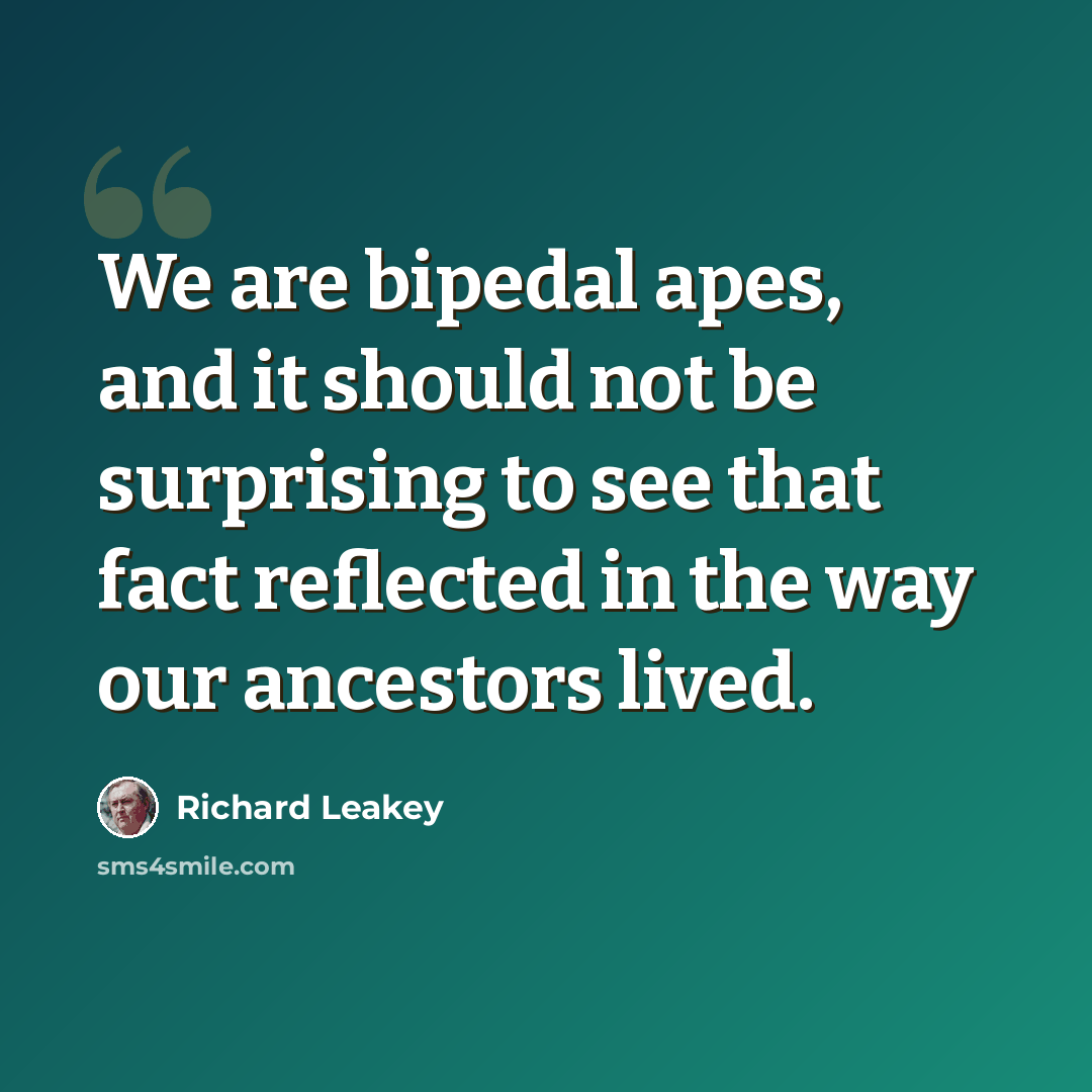 “We are bipedal apes, and it should not be surprising to see that fact reflected in the way our ancestors lived.” quote by Richard Leakey