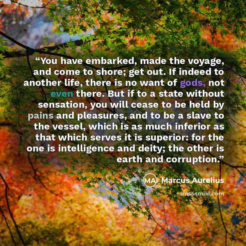 “You have embarked, made the voyage, and come to shore; get out. If indeed to another life, there is no want of gods, not even there. But if to a state without sensation, you will cease to be held by pains and pleasures, and to be a slave to the vessel, which is as much inferior as that which…” quote by Marcus Aurelius