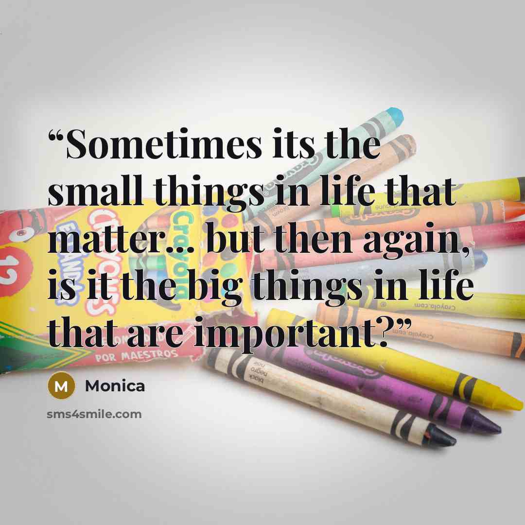 “Sometimes its the small things in life that matter... but then again, is it the big things in life that are important?” quote by Monica