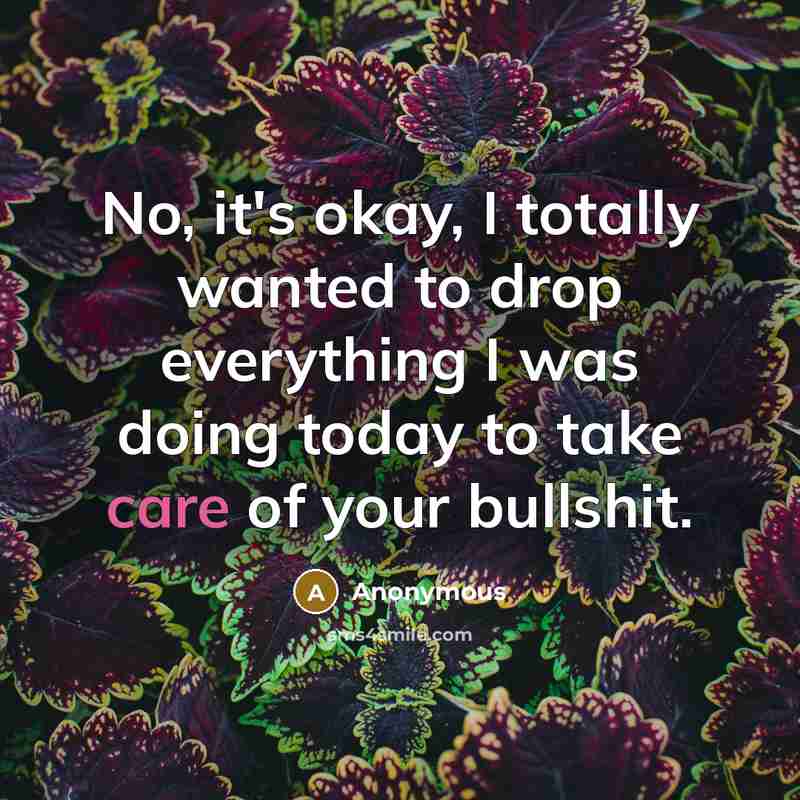 “No, it's okay, I totally wanted to drop everything I was doing today to take care of your bullshit.” quote by Anonymous