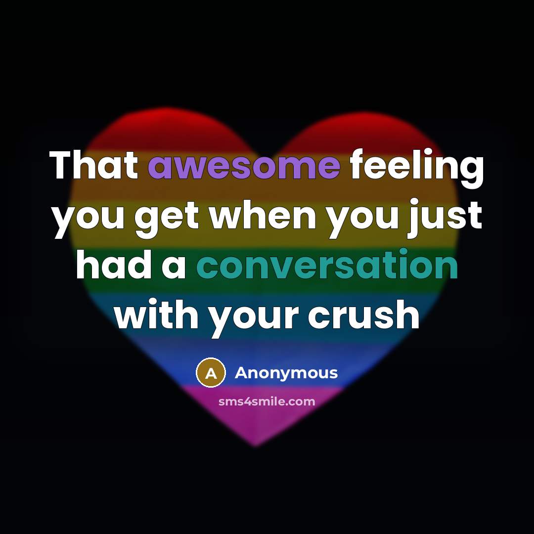 “That awesome feeling you get when you just had a conversation with your crush” quote by Anonymous