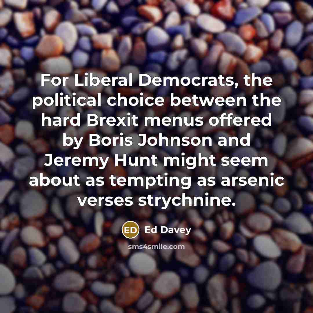 “For Liberal Democrats, the political choice between the hard Brexit menus offered by Boris Johnson and Jeremy Hunt might seem about as tempting as arsenic verses strychnine.” quote by Ed Davey