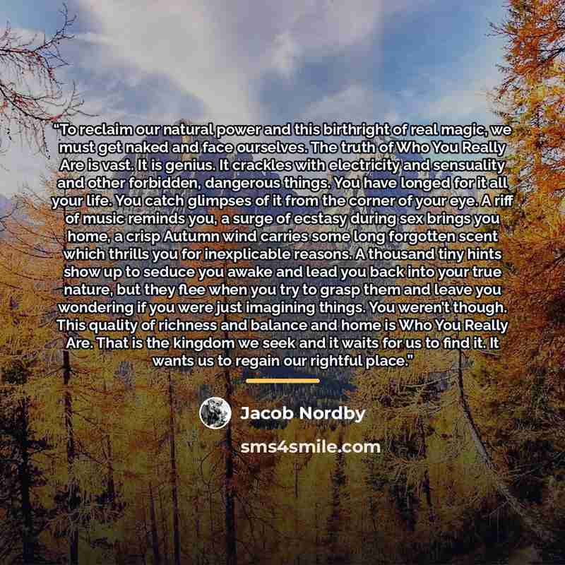 “To reclaim our natural power and this birthright of real magic, we must get naked and face ourselves. The truth of Who You Really Are is vast. It is genius. It crackles with electricity and sensuality and other forbidden, dangerous things. You have longed for it all your life. You catch glimpses…” quote by Jacob Nordby