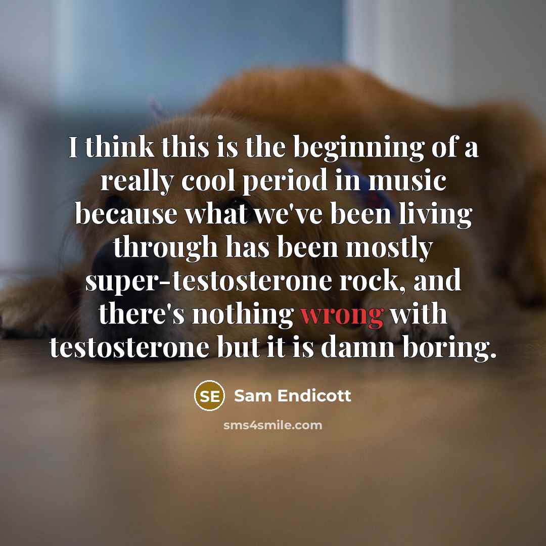 “I think this is the beginning of a really cool period in music because what we've been living through has been mostly super-testosterone rock, and there's nothing wrong with testosterone but it is damn boring.” quote by Sam Endicott