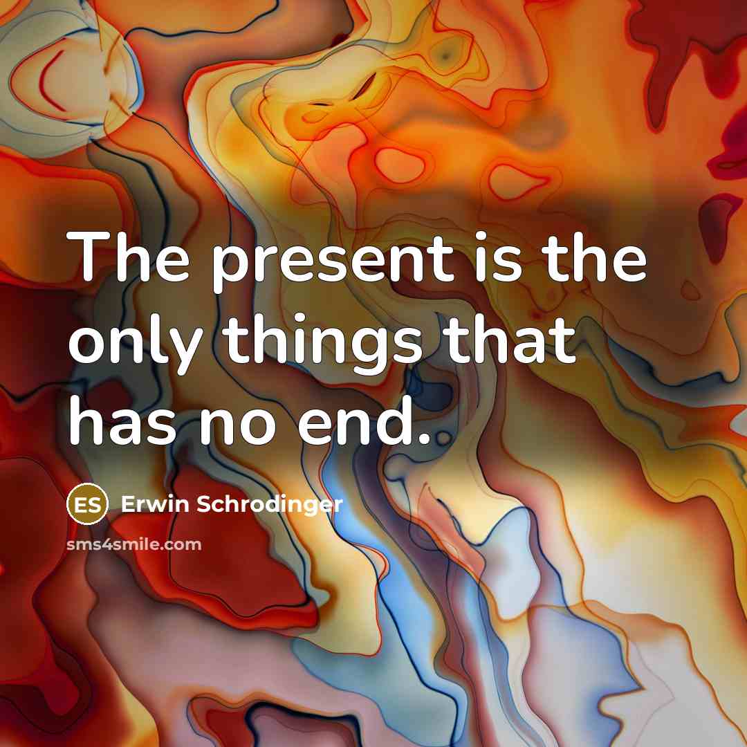 “The present is the only things that has no end.” quote by Erwin Schrodinger