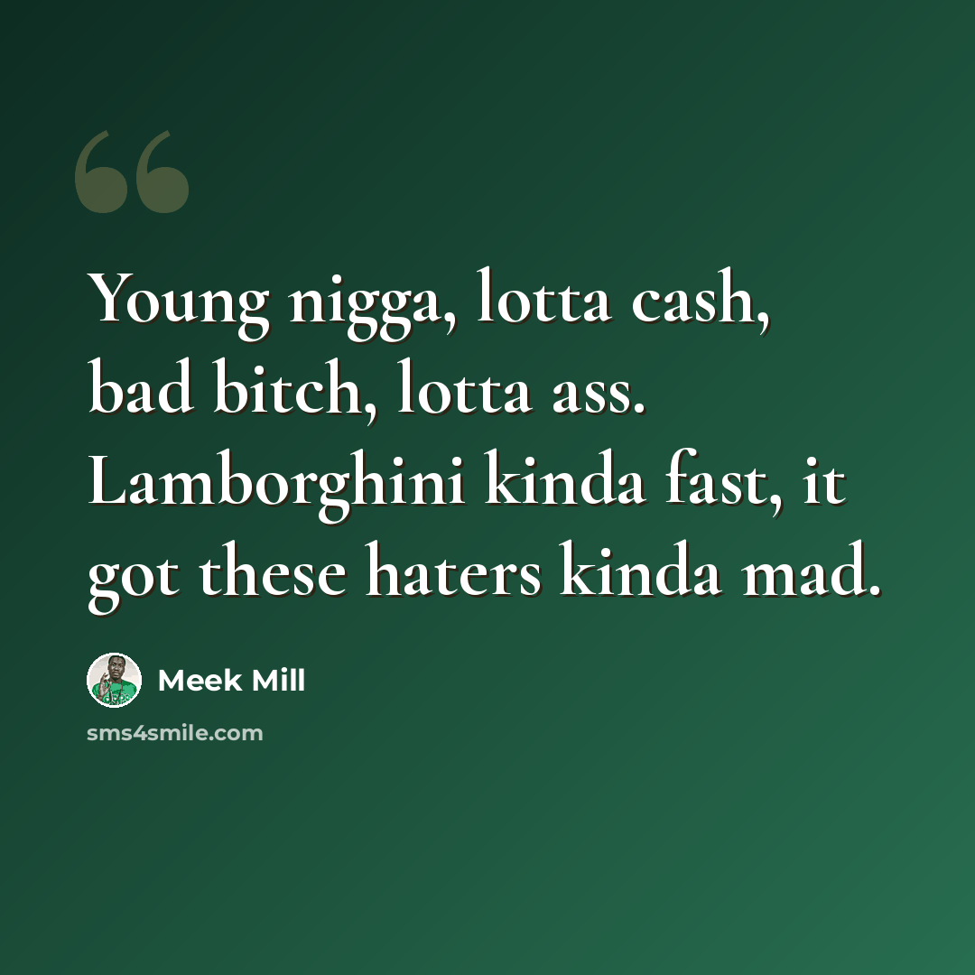 “Young nigga, lotta cash, bad bitch, lotta ass. Lamborghini kinda fast, it got these haters kinda mad.” quote by Meek Mill