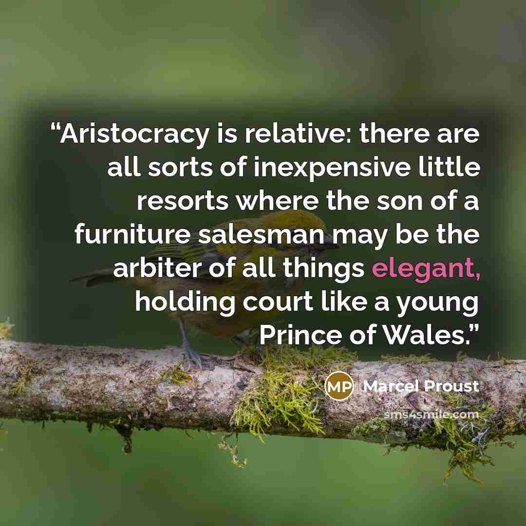 “Aristocracy is relative: there are all sorts of inexpensive little resorts where the son of a furniture salesman may be the arbiter of all things elegant, holding court like a young Prince of Wales.” quote by Marcel Proust