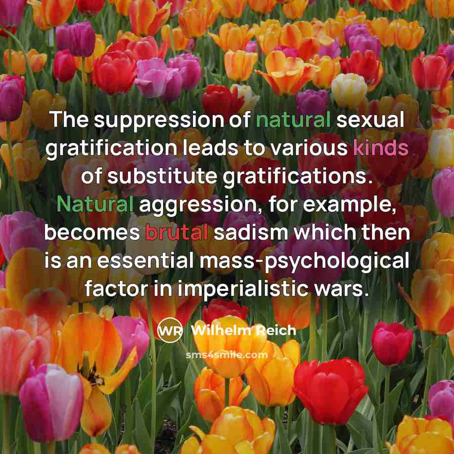 “The suppression of natural sexual gratification leads to various kinds of substitute gratifications. Natural aggression, for example, becomes brutal sadism which then is an essential mass-psychological factor in imperialistic wars.” quote by Wilhelm Reich