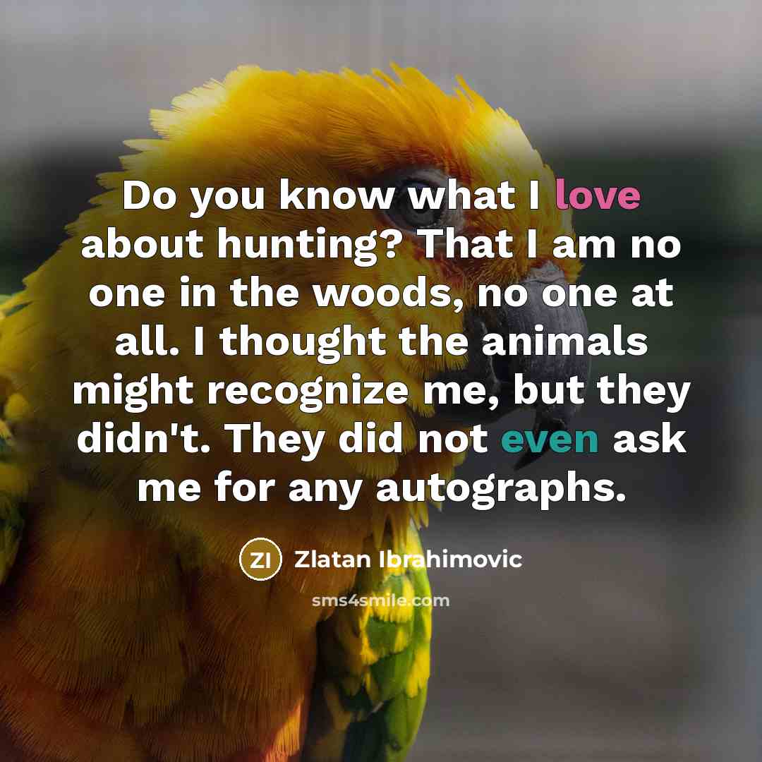 “Do you know what I love about hunting? That I am no one in the woods, no one at all. I thought the animals might recognize me, but they didn't. They did not even ask me for any autographs.” quote by Zlatan Ibrahimovic