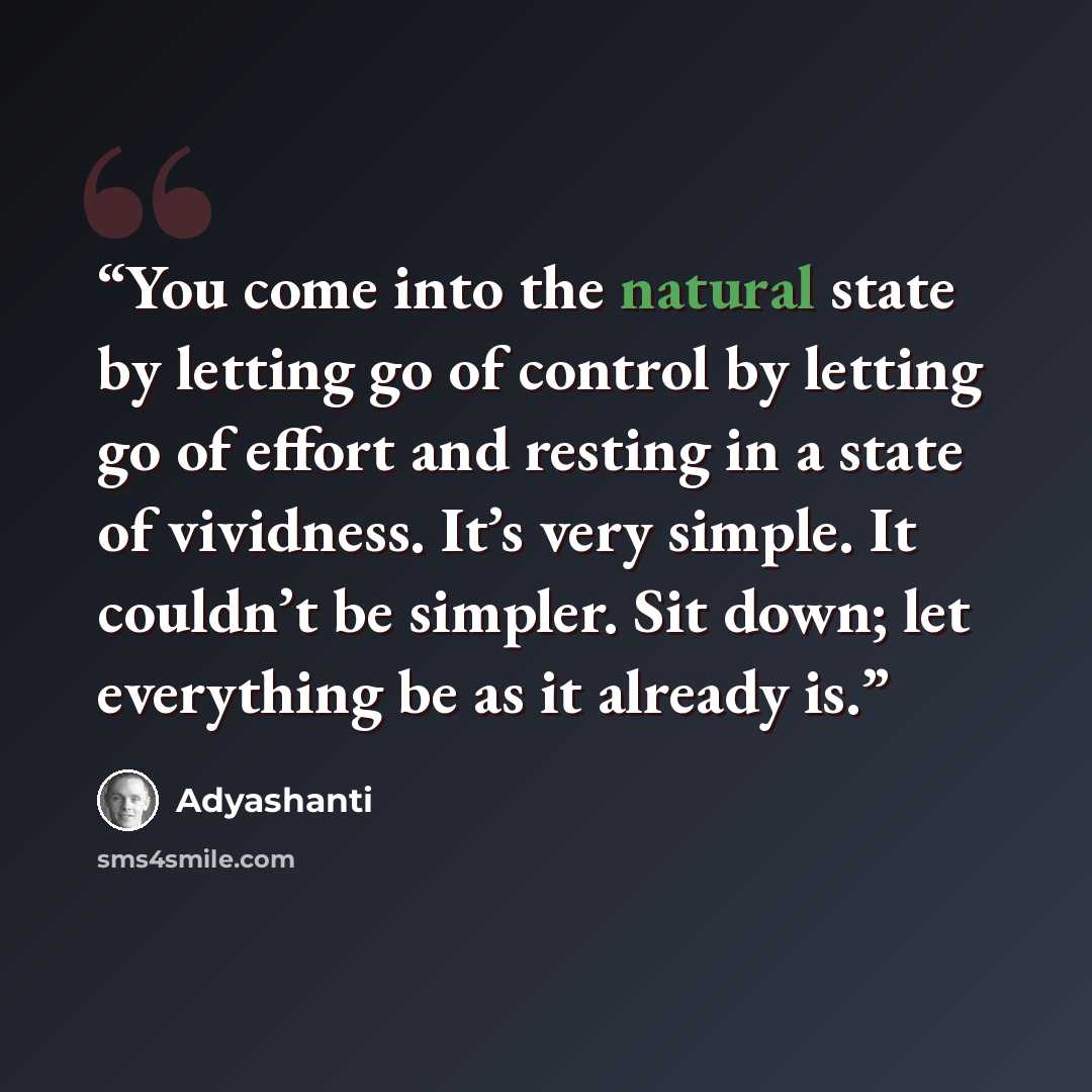 “You come into the natural state by letting go of control by letting go of effort and resting in a state of vividness. It’s very simple. It couldn’t be simpler. Sit down; let everything be as it already is.” quote by Adyashanti