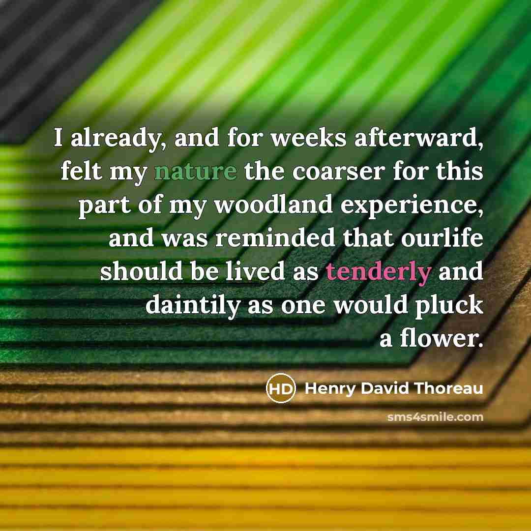 “I already, and for weeks afterward, felt my nature the coarser for this part of my woodland experience, and was reminded that ourlife should be lived as tenderly and daintily as one would pluck a flower.” quote by Henry David Thoreau