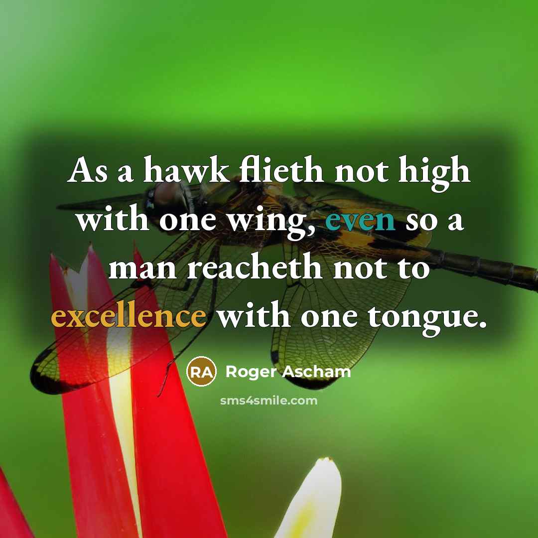 “As a hawk flieth not high with one wing, even so a man reacheth not to excellence with one tongue.” quote by Roger Ascham