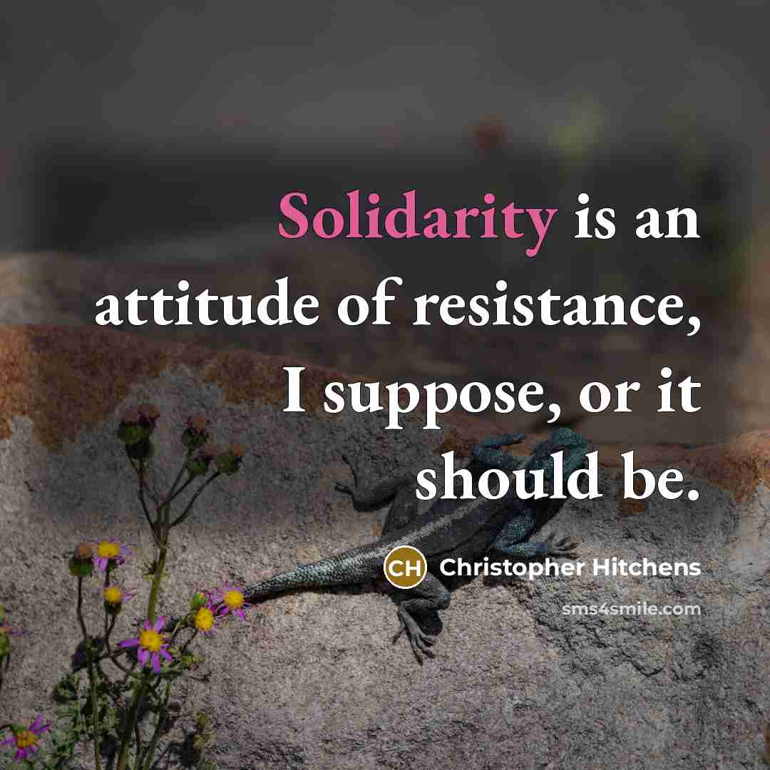 “Solidarity is an attitude of resistance, I suppose, or it should be.” quote by Christopher Hitchens