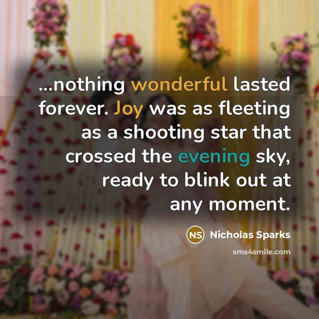 “...nothing wonderful lasted forever. Joy was as fleeting as a shooting star that crossed the evening sky, ready to blink out at any moment.” quote by Nicholas Sparks