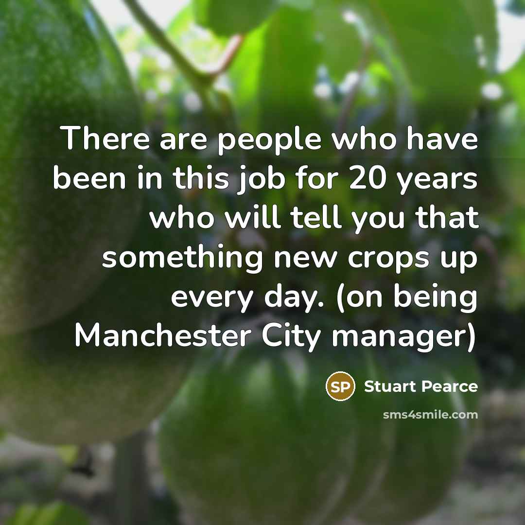 “There are people who have been in this job for 20 years who will tell you that something new crops up every day. (on being Manchester City manager)” quote by Stuart Pearce