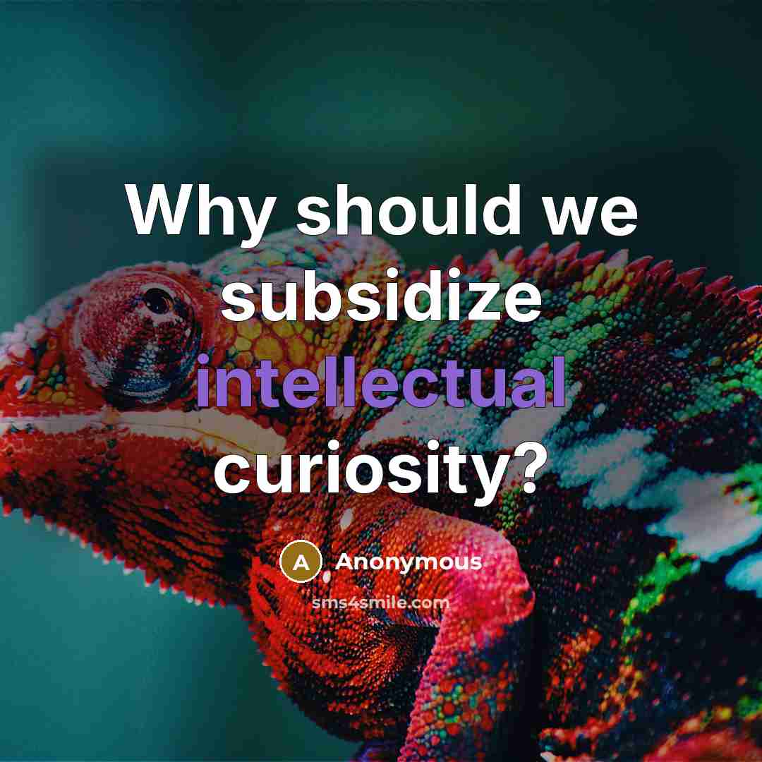 “Why should we subsidize intellectual curiosity?” quote by Anonymous