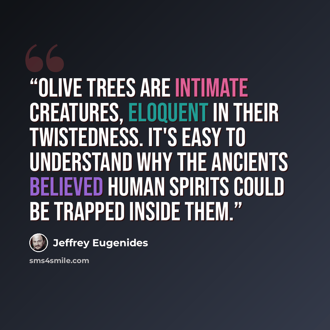 “Olive trees are intimate creatures, eloquent in their twistedness. It's easy to understand why the ancients believed human spirits could be trapped inside them.” quote by Jeffrey Eugenides