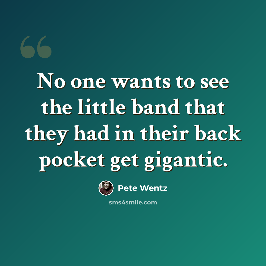 “No one wants to see the little band that they had in their back pocket get gigantic.” quote by Pete Wentz