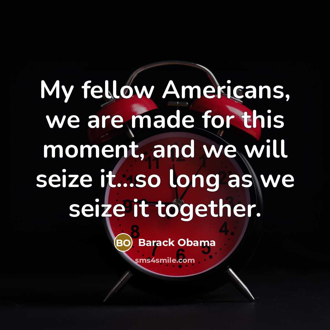 “My fellow Americans, we are made for this moment, and we will seize it...so long as we seize it together.” quote by Barack Obama