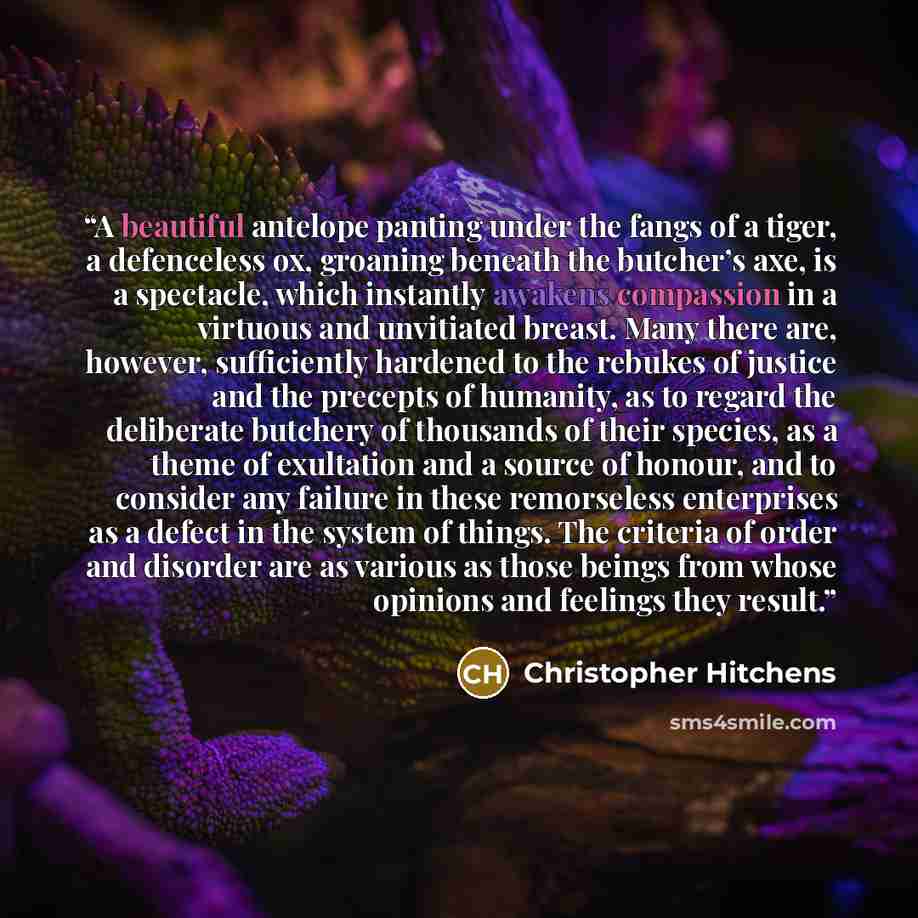 “A beautiful antelope panting under the fangs of a tiger, a defenceless ox, groaning beneath the butcher’s axe, is a spectacle, which instantly awakens compassion in a virtuous and unvitiated breast. Many there are, however, sufficiently hardened to the rebukes of justice and the precepts of…” quote by Christopher Hitchens