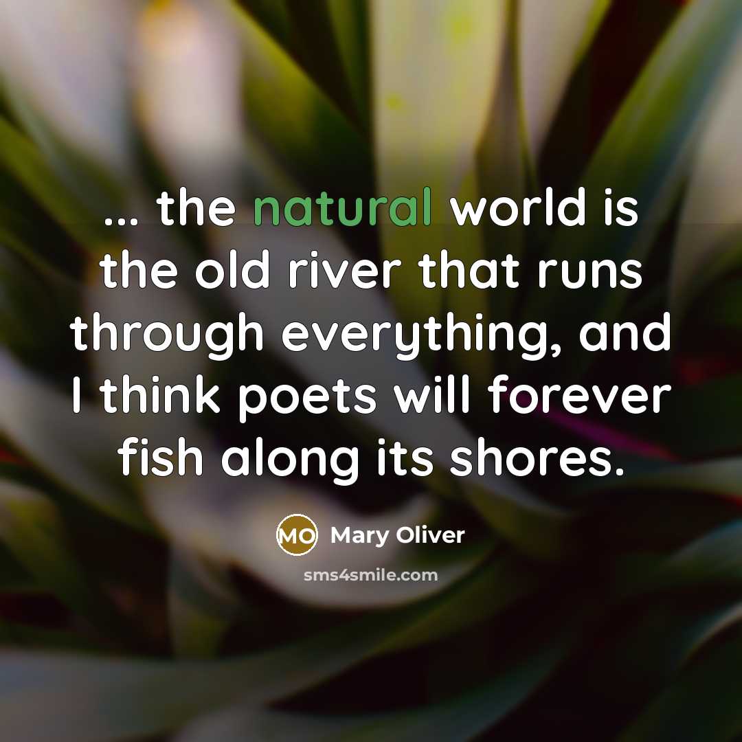 “... the natural world is the old river that runs through everything, and I think poets will forever fish along its shores.” quote by Mary Oliver