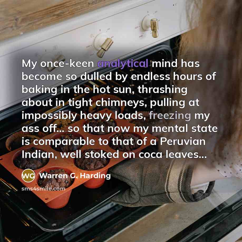 “My once-keen analytical mind has become so dulled by endless hours of baking in the hot sun, thrashing about in tight chimneys, pulling at impossibly heavy loads, freezing my ass off… so that now my mental state is comparable to that of a Peruvian Indian, well stoked on coca leaves...” quote by Warren G. Harding
