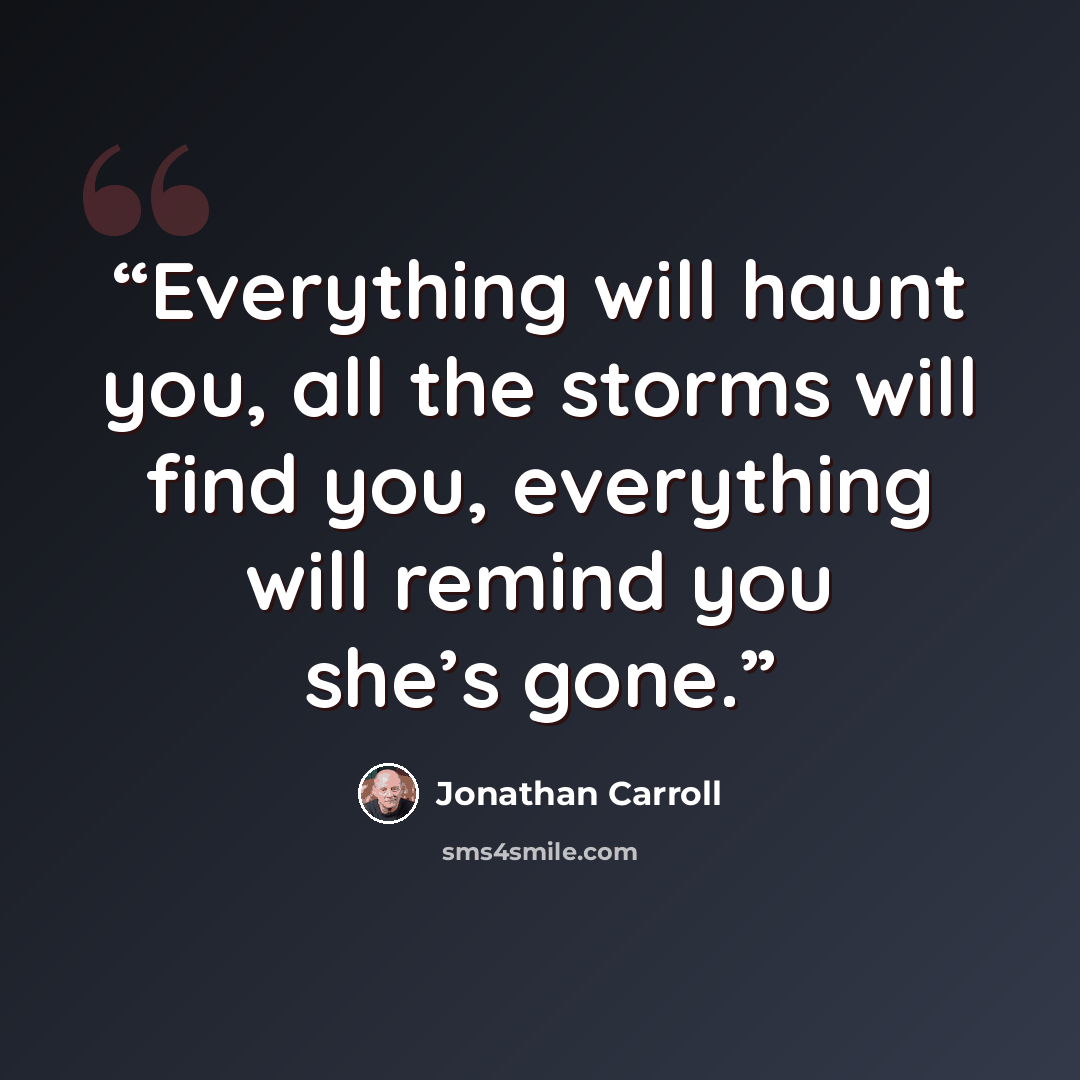 “Everything will haunt you, all the storms will find you, everything will remind you she’s gone.” quote by Jonathan Carroll