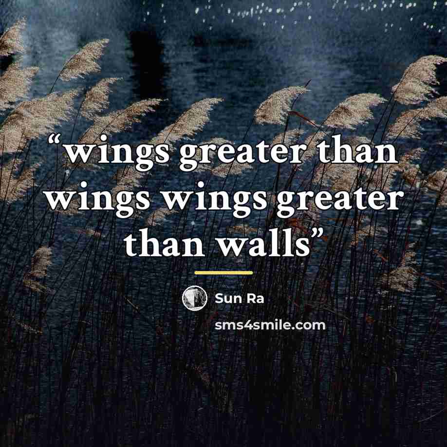 “wings greater than wings wings greater than walls” quote by Sun Ra