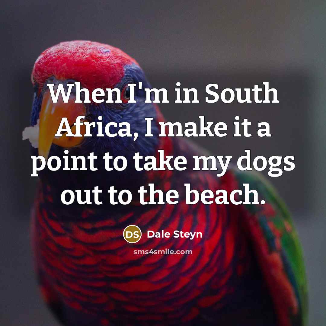 “When I'm in South Africa, I make it a point to take my dogs out to the beach.” quote by Dale Steyn