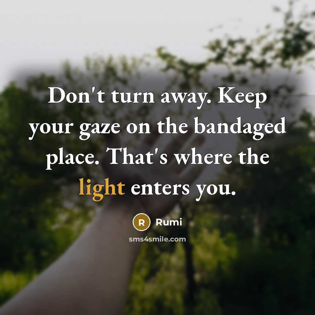 “Don't turn away. Keep your gaze on the bandaged place. That's where the light enters you.” quote by Rumi