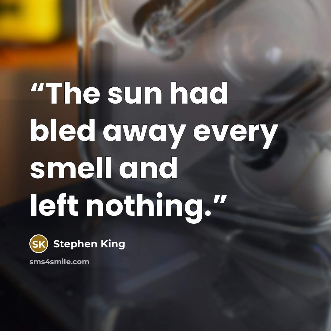 “The sun had bled away every smell and left nothing.” quote by Stephen King