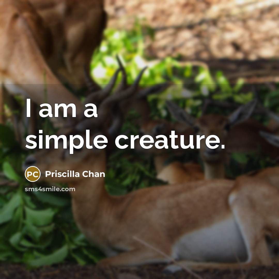 “I am a simple creature.” quote by Priscilla Chan