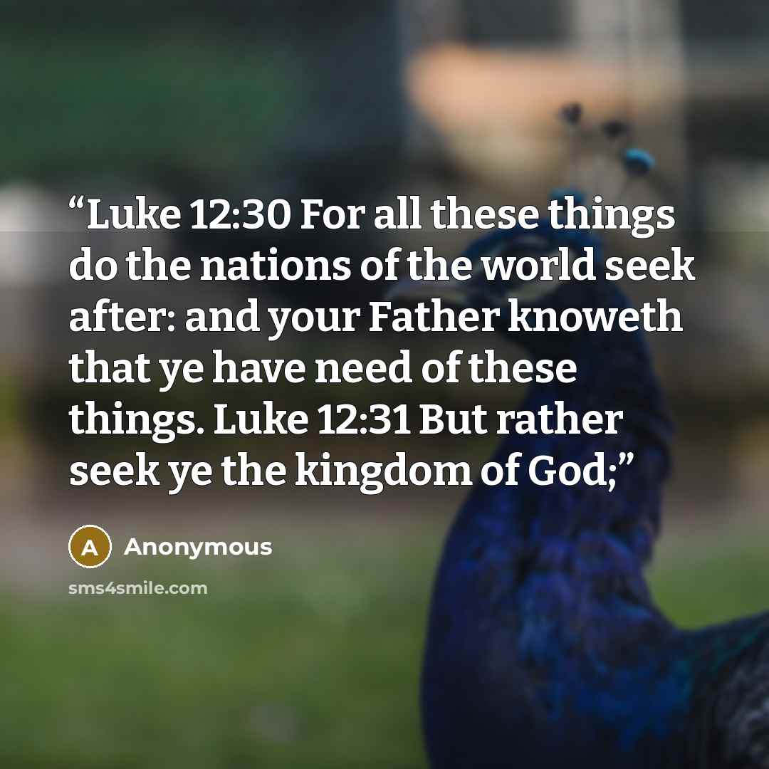 “Luke 12:30 For all these things do the nations of the world seek after: and your Father knoweth that ye have need of these things. Luke 12:31 But rather seek ye the kingdom of God;” quote by Anonymous