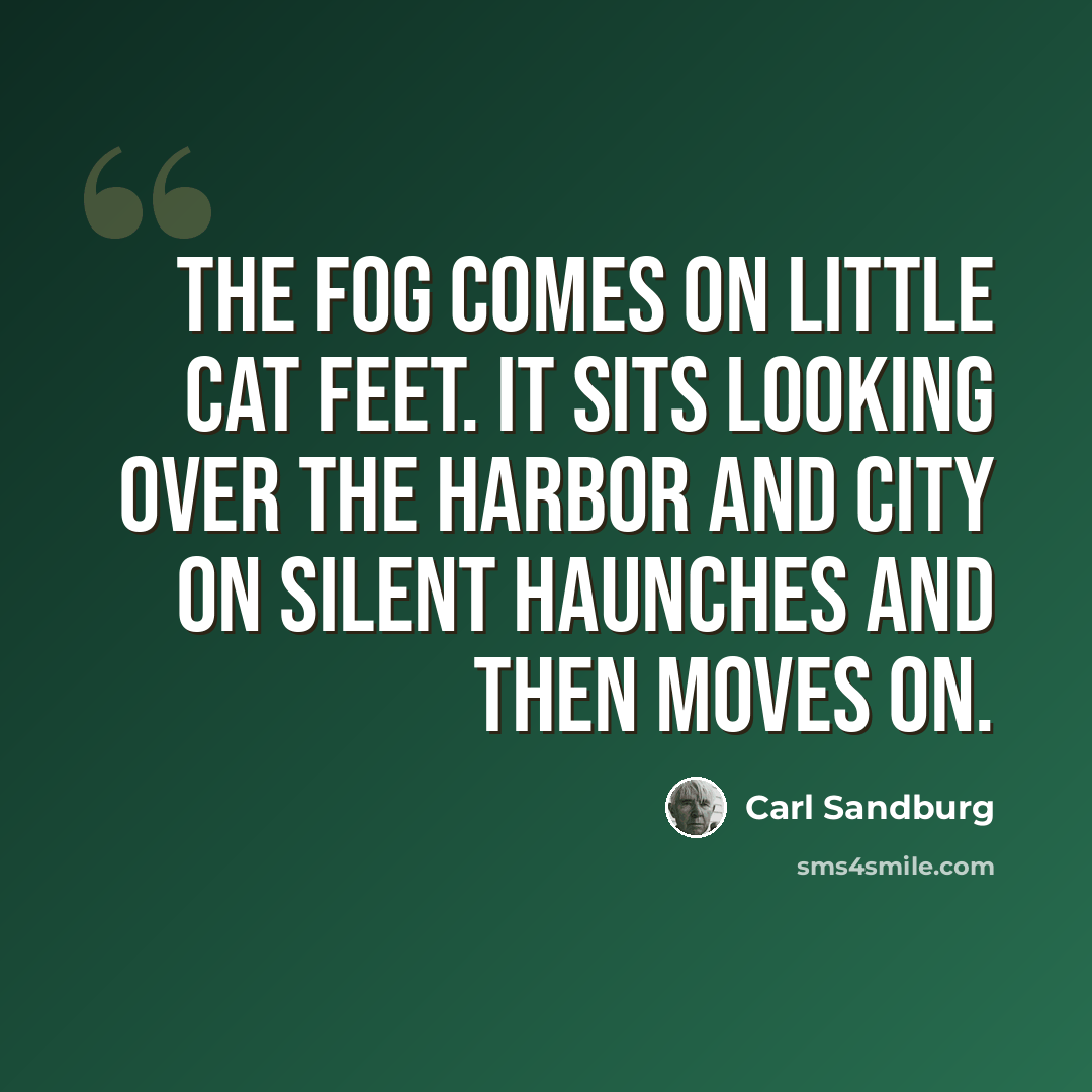 “The fog comes on little cat feet. It sits looking over the harbor and city on silent haunches and then moves on.” quote by Carl Sandburg