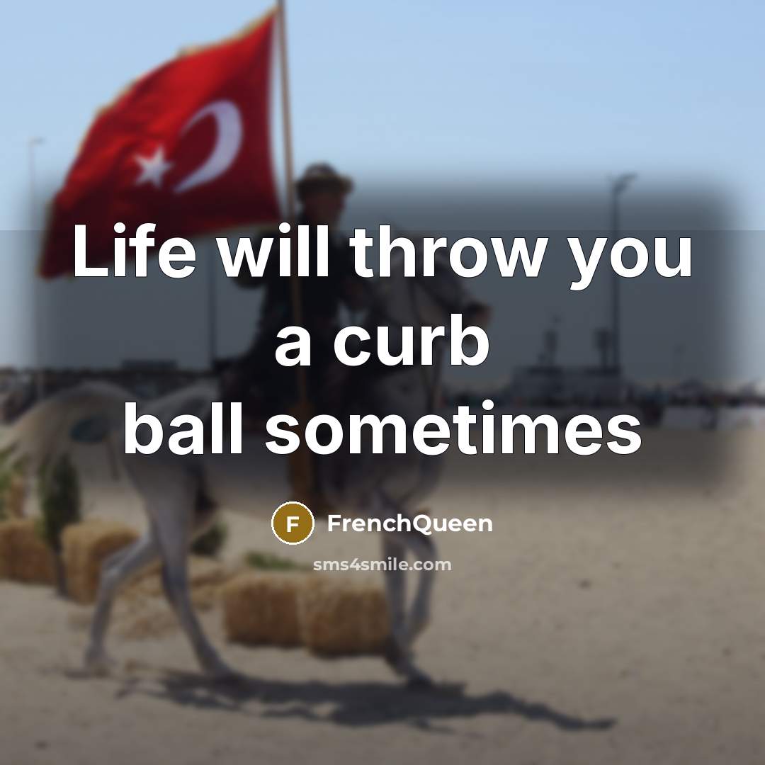 “Life will throw you a curb ball sometimes” quote by Frenchqueen